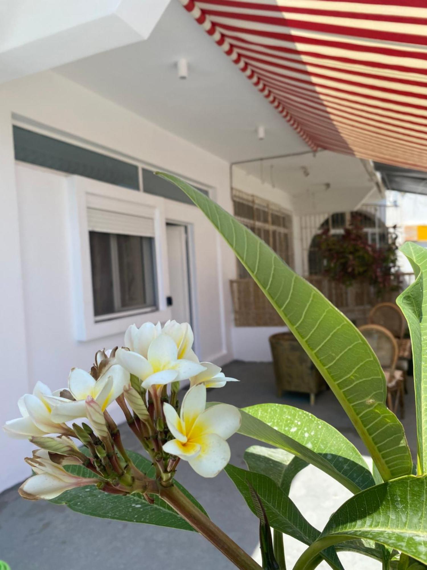 Flowers Lullaby Loft Holiday home